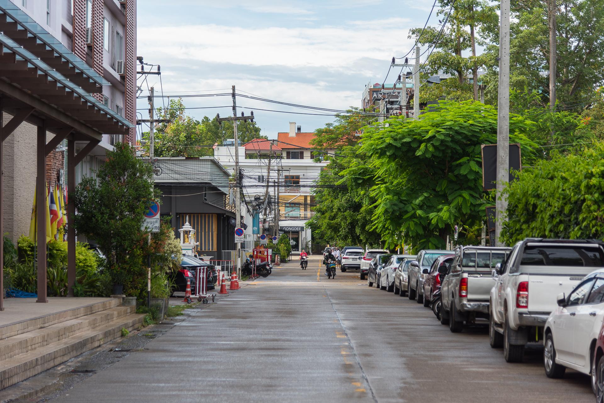 A quiet Chiang Mai street lined with trees and parked cars