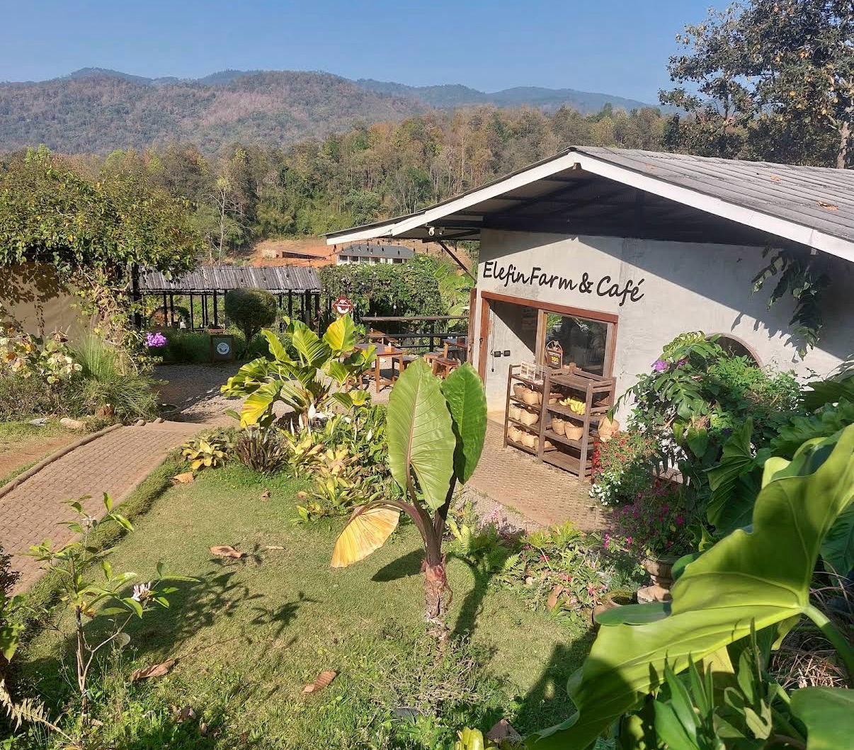Elefin Farm & Café