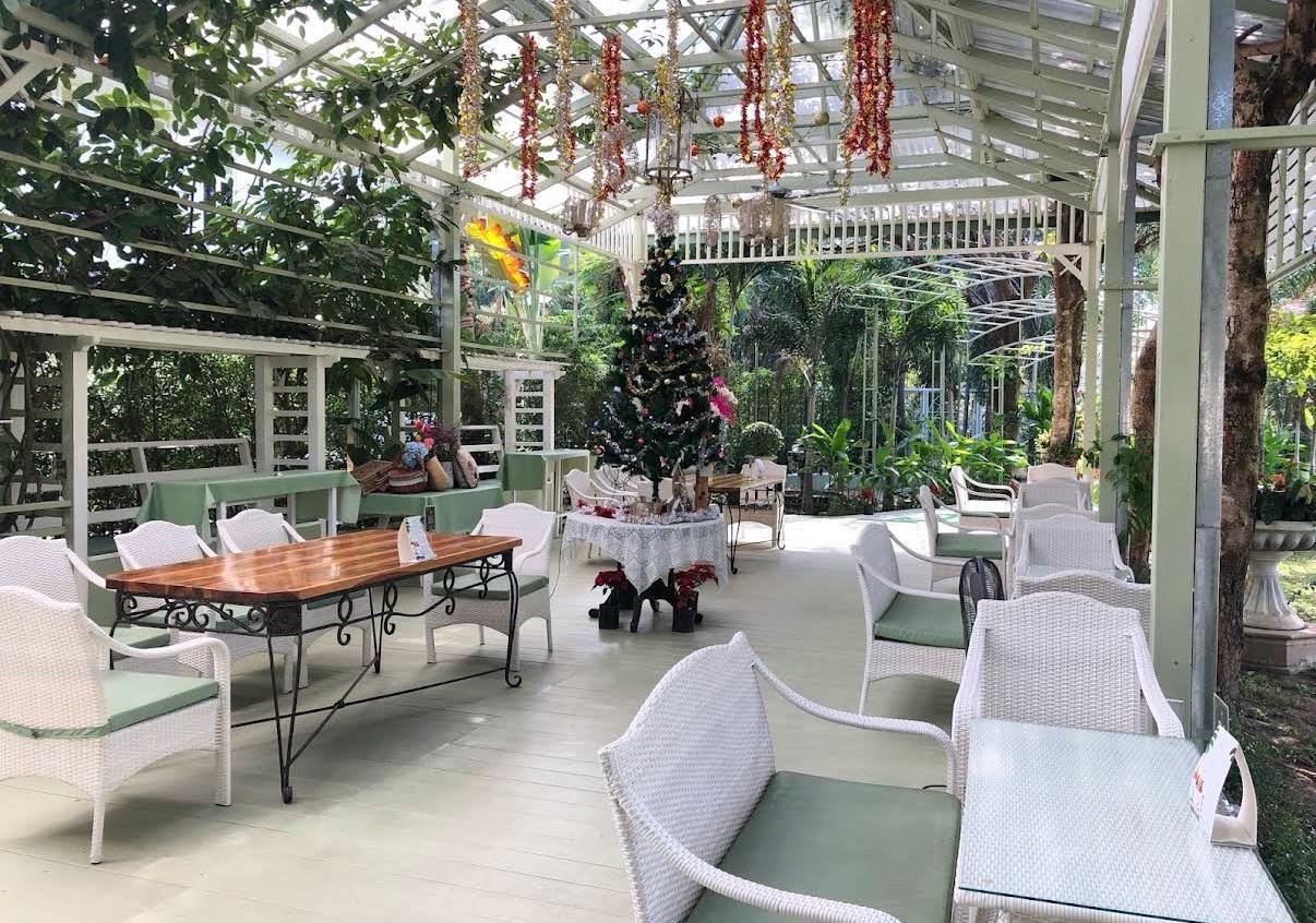 The Consul's Garden