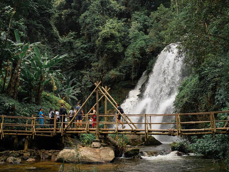 Jungle Trekking Experience