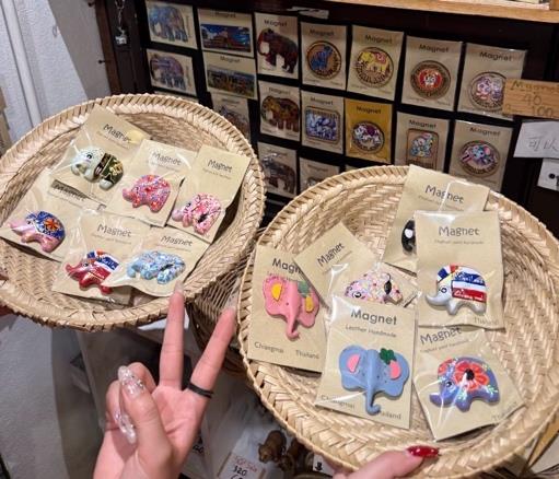 Fridge Magnet — Thai product available in Chiang Mai