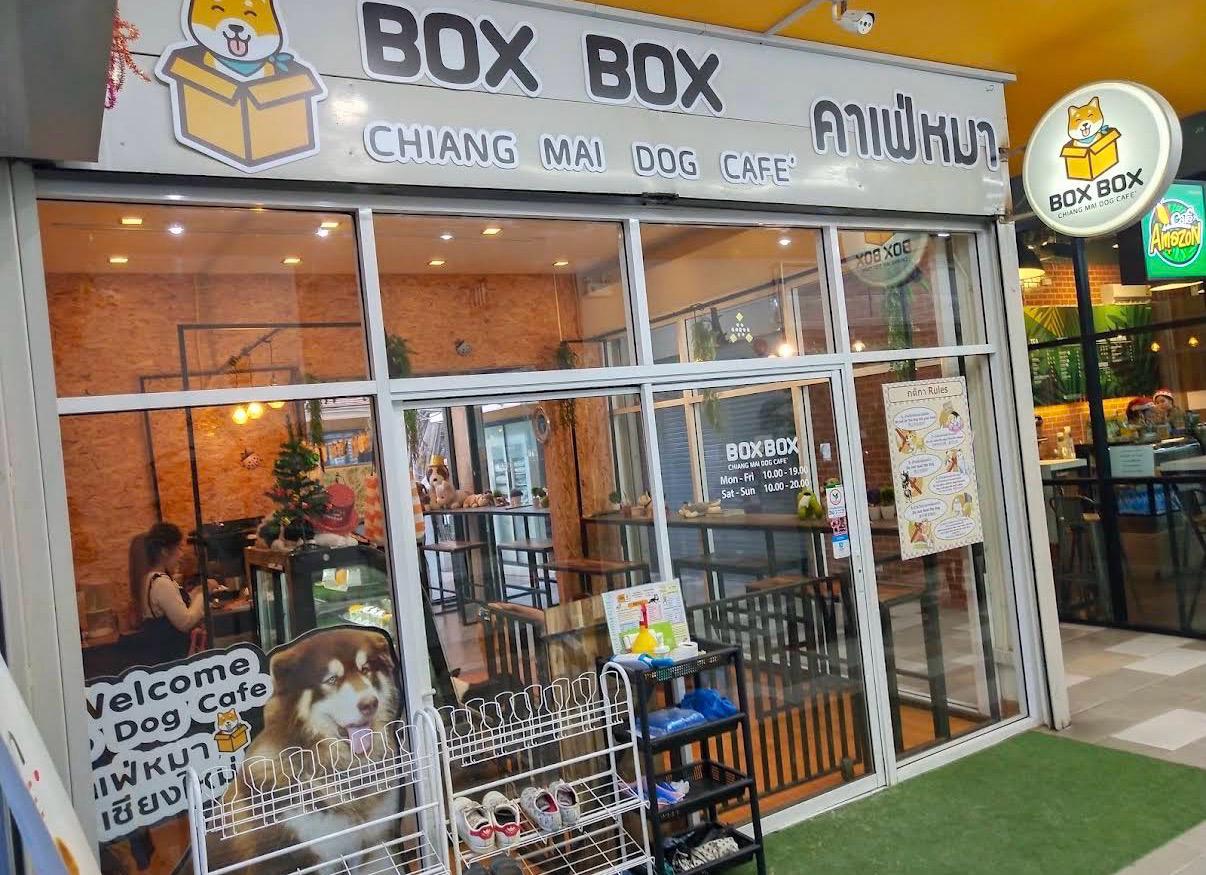 Box Box Dog Café