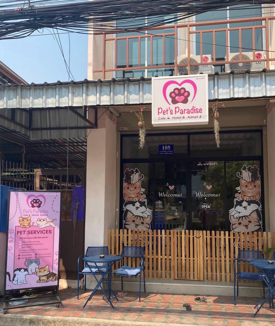 Pet's Paradise Cat Café